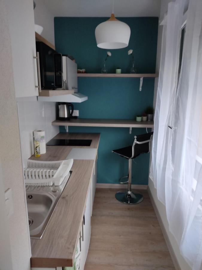Studio Cosy Proche Du Centre + Parking Gratuit Cluses Εξωτερικό φωτογραφία