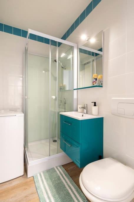 Studio Cosy Proche Du Centre + Parking Gratuit Cluses Εξωτερικό φωτογραφία